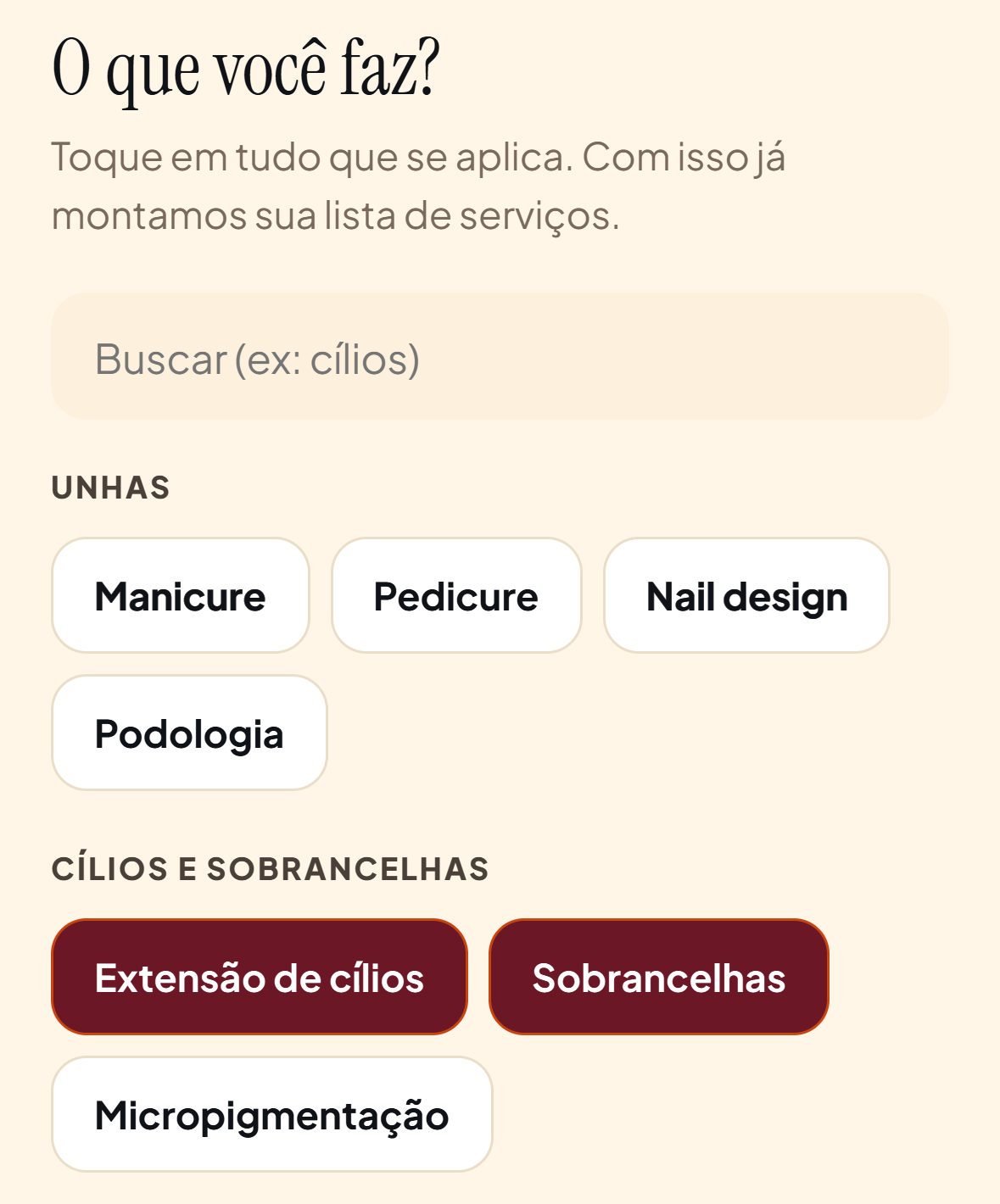 Tela do cadastro da Use Carmen com as áreas Extensão de cílios e Sobrancelhas marcadas